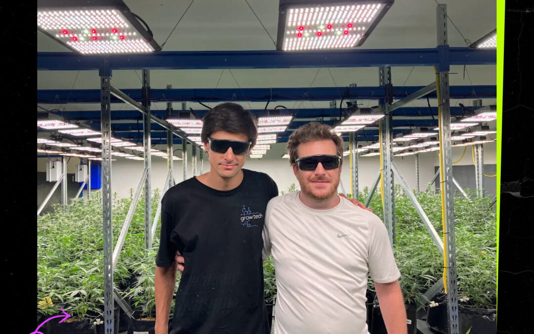 La empresa LED que lidera y redefine el cultivo industrial en Argentina.